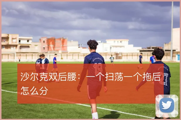 沙尔克双后腰:一个扫荡一个拖后怎么分